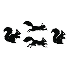 Obraz premium Four black silhouette squirrels in different poses on white background icon