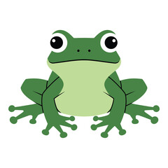 Obraz premium Cute cartoon green frog sitting on white background looking forward icon
