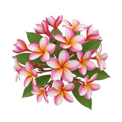 Fototapeta premium A vibrant bouquet of pink and white flowers with green leaves arranged in a circular pattern. isolated on transparent background
