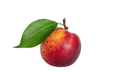 Fototapeta premium A single nectarine with a green leaf attached to its stem displays a gradient of red and yellow colors on a plain surface no background