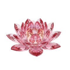 A stunning close-up view of a vibrant pink lotus flower in full bloom. isolated on transparent background