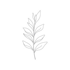 Fototapeta premium Minimalist line drawing of a delicate green leaf branch, botanical illustration
