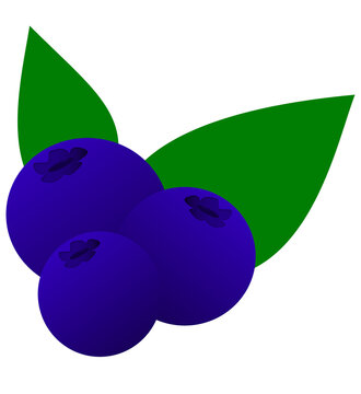 blueberries with leaves
