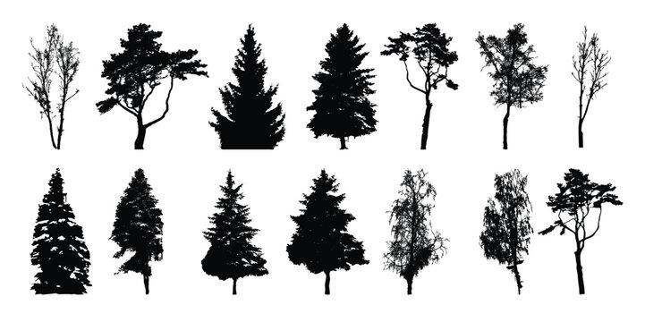 set of tree silhouette isolated on white backgorund vecrtor