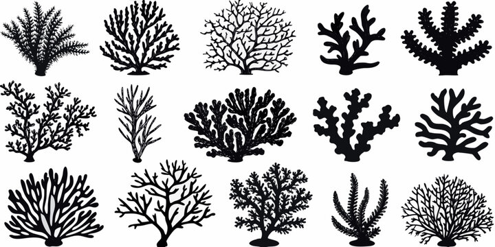 Variety of black and white coral illustrations arranged in a grid pattern
