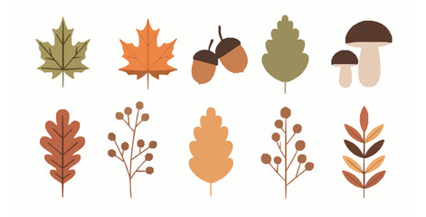 Minimal autumn botanical elements hand drawn flat vector set © MdRaisul