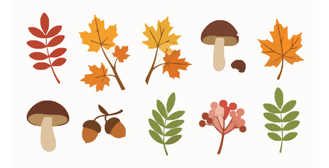 Autumn floral stickers hand drawn flat vector illustration set © MdRaisul