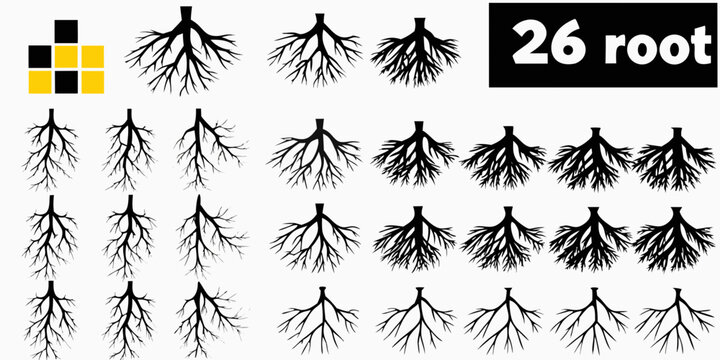 Illustration of various root systems against a white background