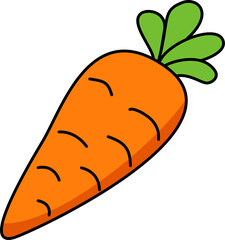 carrot illustration vegetable