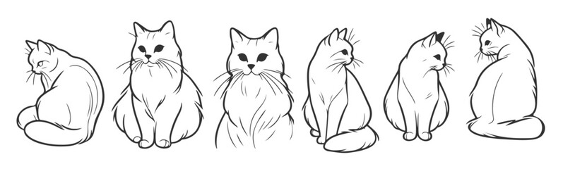Obraz premium minimalist cat line art collection elegant poses for cat 
