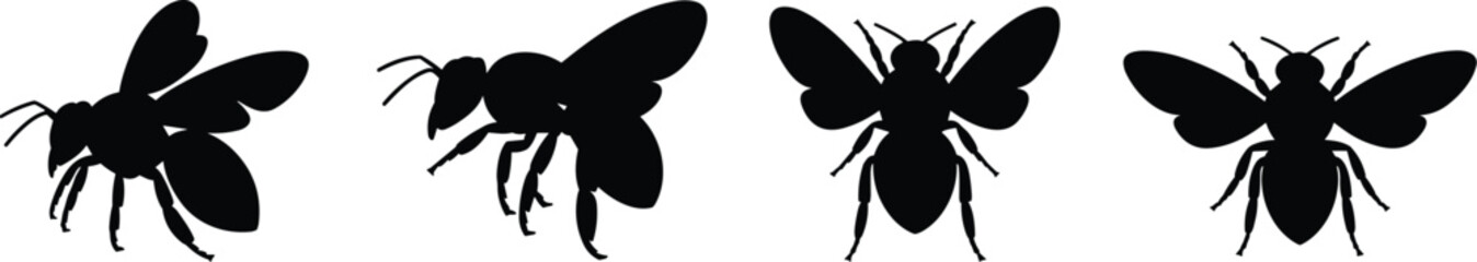 Bee insect silhouettes collection, flying insects vector set, black outline design, entomology illustration, nature graphic art, isolated ©  Arfina
