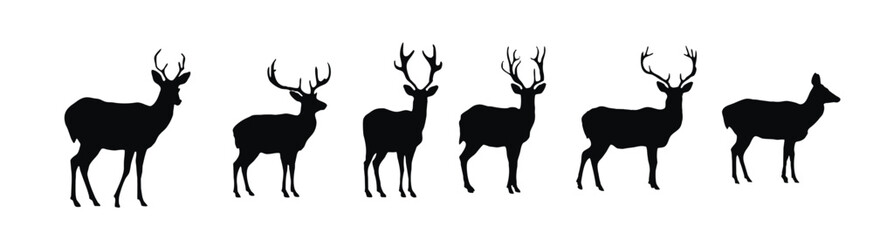 Deer silhouette vector collection on a white background. Beautiful male gazelle with big horns silhouette set design. Stag and reindeer standing, black and white silhouette vector bundle. © Pixvw