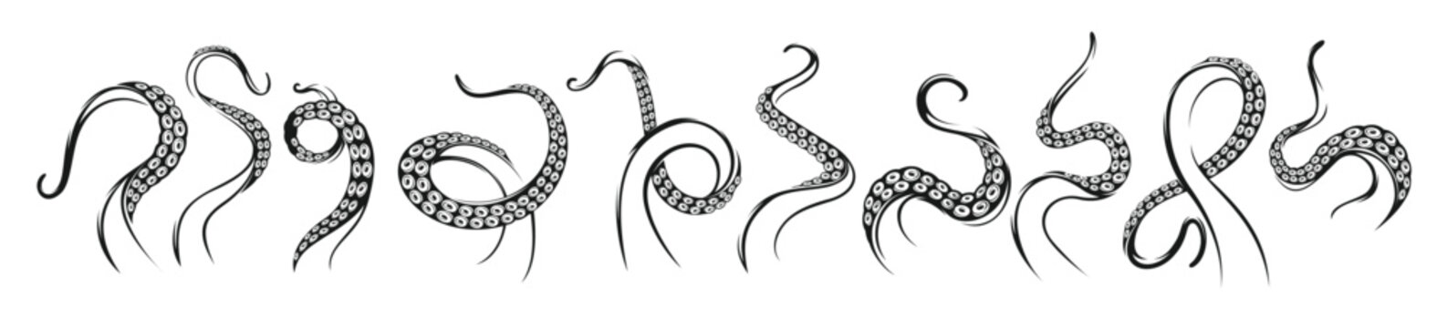 octopus tentacles kraken or squid monster tattoo