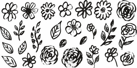 Black and white botanical sketches of flowers leaves and plant elements © Dipa