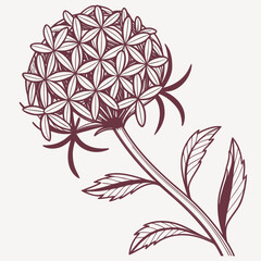 Structured Geometric Flower with Sharp Petals