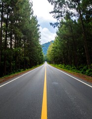 Obraz premium Long asphalt road disappearing into the distance, lined by tall evergreen trees