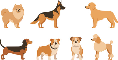 Obraz premium Different Dog Breeds Cartoon Character Set with Standing Poses for Pet Design, Domestic Canine Collection Flat Vector Illustration