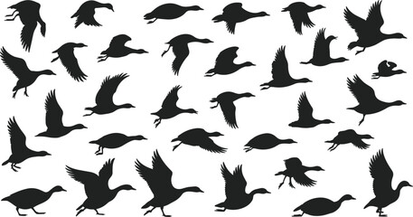 Flying geese silhouettes vector illustration, multiple bird poses in flight, wing positions, nature design for wildlife, migration, forest, outdoor, avian themes © KailashChandra