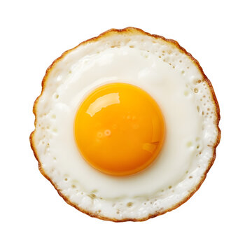 Fried egg isolated on transparent background