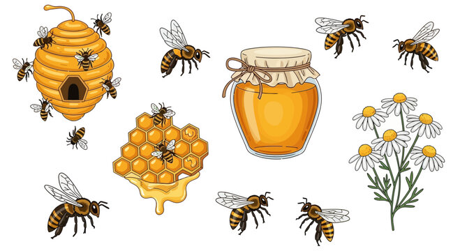 Cartoon bees honeycomb honey jar and chamomile flowers isolated