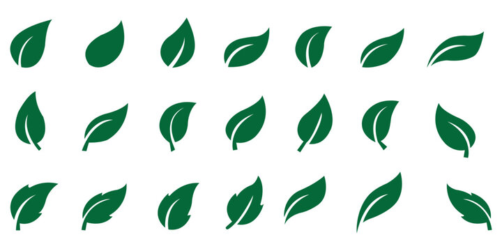 Leaf sprout icon vector set, green leaves plant eco logo symbol simple graphic illustration set, vegan fresh herb pictogram shape sign, organic natural healthy logotype image clip art