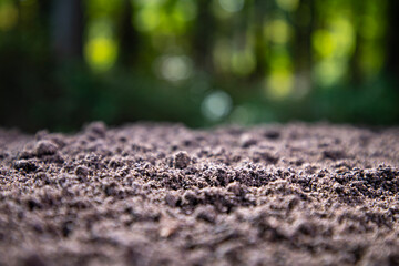 Naklejka premium Soil texture with green nature bokeh background. Soil surface. Ground for farm. Fertile soil and humus. Closeup of dirt and clay in farm field. Soil for planting. Cultivated land.