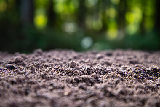 Soil texture with green nature bokeh background. Soil surface. Ground for farm. Fertile soil and humus. Closeup of dirt and clay in farm field. Soil for planting. Cultivated land.