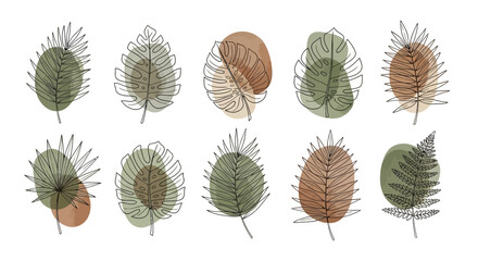 Ten stylized tropical leaves line art with watercolor splotches arranged in two rows © Julian Vance