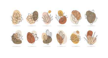 Twelve minimalist line art illustrations of various succulents and cacti on abstract earthtoned backgrounds © Julian Vance
