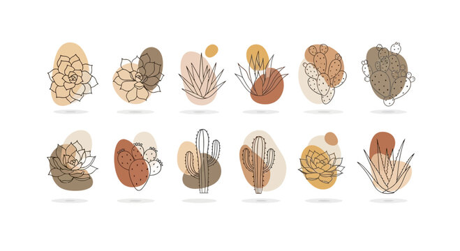 Twelve minimalist line art illustrations of various succulents and cacti on abstract earthtoned backgrounds