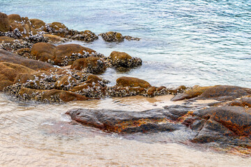 Obraz premium Thailand Kalim Beach turquoise blue clear water waves rocks shells.