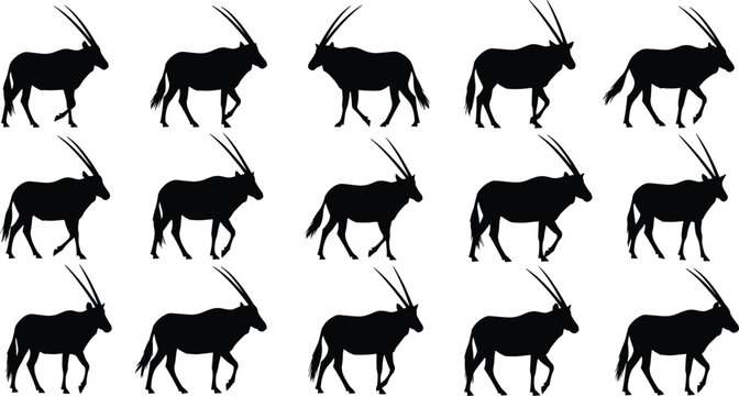 Oryx gazelle silhouette collection, black gemsbok antelope vector set, african wildlife icons, desert animal shapes, safari hunting trophies, isolated nature elements