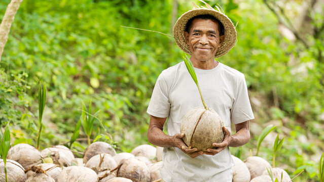 Indonesian man farmer smiling portrait with coconut seedling on farm, field, or plantation, looking at camera, wearing straw hat, on flores island, indonesia, southeast asia, asian people