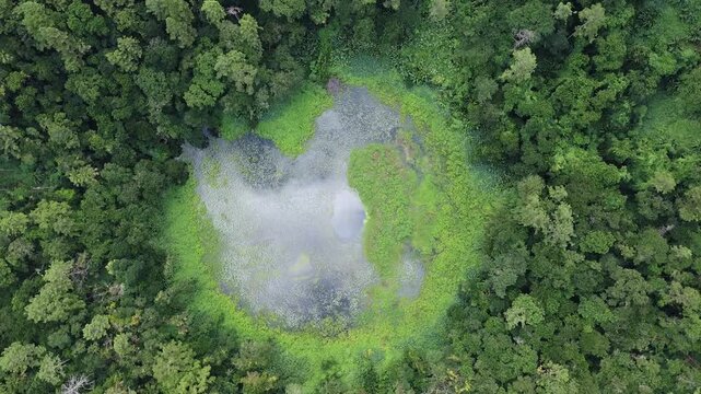 Aerial View of Volcano Trou Aux Cerfs, Curepipe, Mauritius