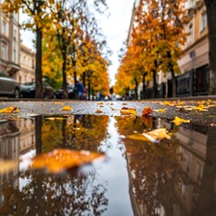 Low-angle shot of a European street in autumn with reflections