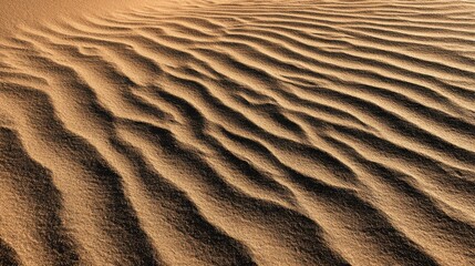 Fototapeta premium Close-up perspective of undulating sand dunes with strong shadows and warm tones