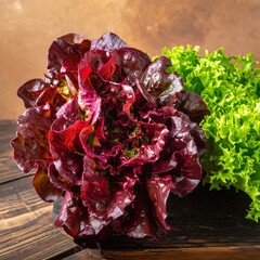 Fresh red and green lettuce heads on a rustic wooden surface