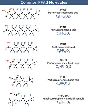 Common PFAS ( Per- and Polyfluoroalkyl Substances) molecules, including PFOS, PFOA, PFNA, PFHxS, PFBS, and HFPO-DA. Vector illustration