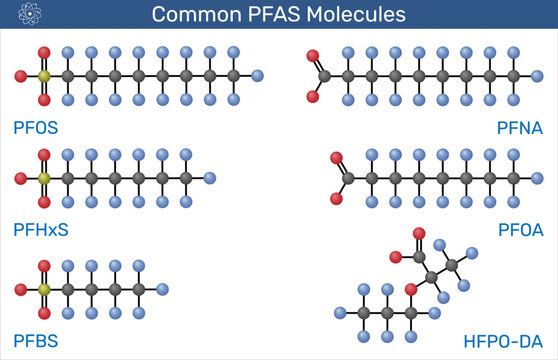 Common PFAS ( Per- and Polyfluoroalkyl Substances) molecules, including PFOS, PFOA, PFNA, PFHxS, PFBS, and HFPO-DA. Vector illustration