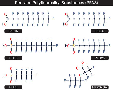 PFAS ( Per- and Polyfluoroalkyl Substances) molecules, including PFOS, PFOA, PFNA, PFHxS, PFBS, and HFPO-DA. Vector illustration