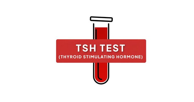 TSH Test Animation &ndash; Thyroid Stimulating Hormone Blood Diagnostic Concept