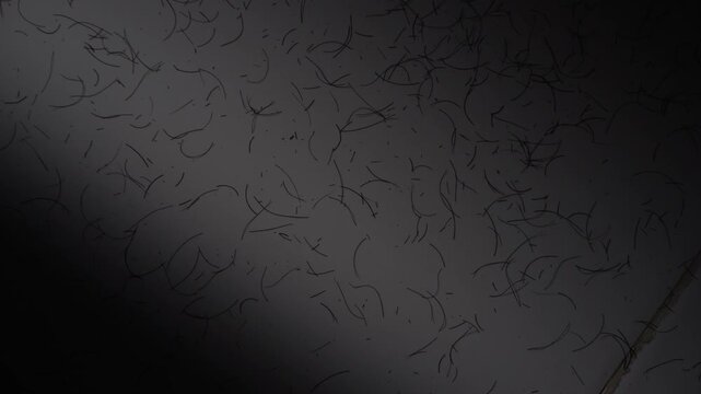 Macro shot of fallen dark hair strands on a smooth grey surface. Abstract composition showing hair loss, grooming remains, or barbershop floor details. High quality 4K resolution with moody lighting a