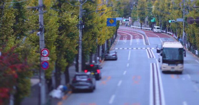 A cityscape of miniature traffic jam at the yellow gingko street in Tokyo