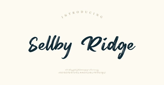 Sellby Ridge, Luxury script alphabet letters font with tails. Typography elegant classic lettering serif fonts and number decorative vintage retro concept for logo branding. vector illustration
