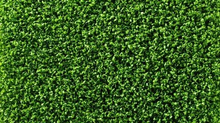 Vibrant and Lush Artificial Turf Close Up, Perfect for Green Backgrounds