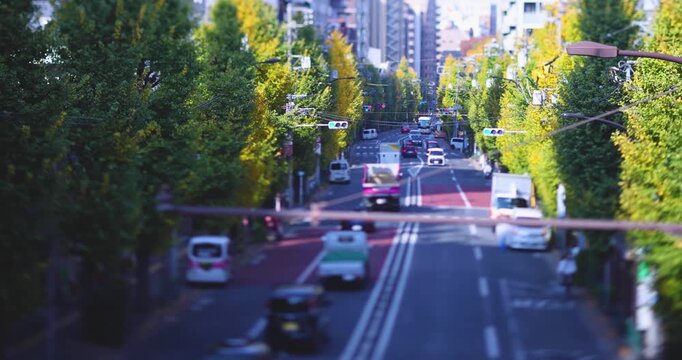 A cityscape of miniature traffic jam at the yellow gingko street in Tokyo