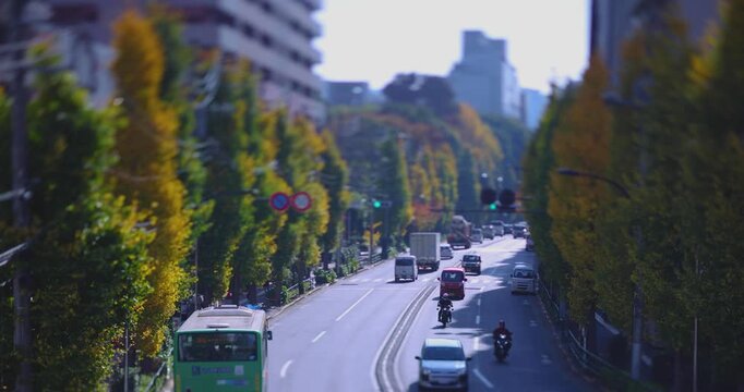 A cityscape of miniature traffic jam at the yellow gingko street in Tokyo