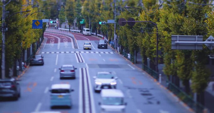 A cityscape of miniature traffic jam at the yellow gingko street in Tokyo