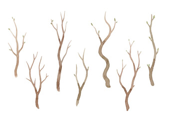 Fototapeta premium Watercolor-style tree branch illustration／木の枝