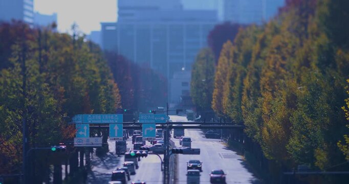 A cityscape of miniature traffic jam at the yellow gingko street in the city